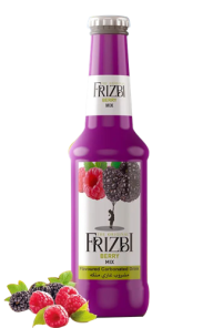 FRIZBI Drink Berry Mix (250 ml*24PC)