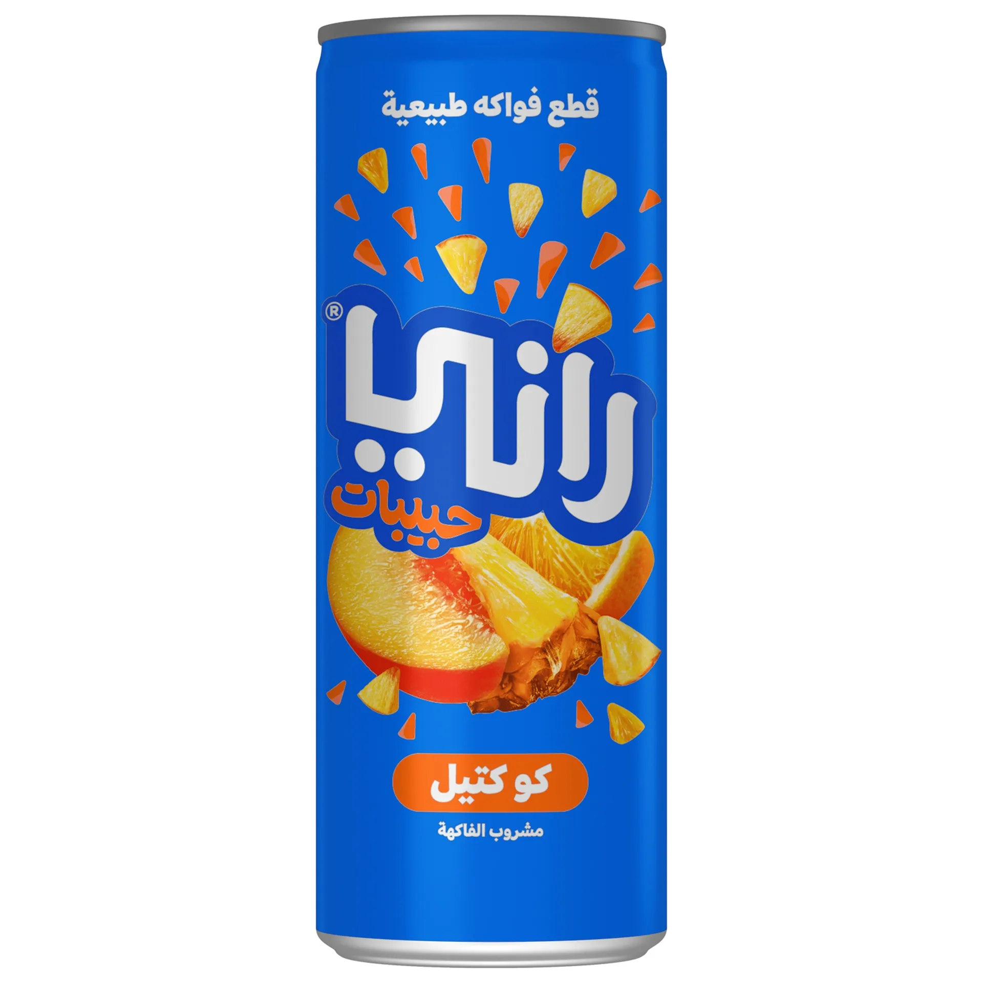 RANI Juice Cocktail (Tree) (235 ml*24PC)
